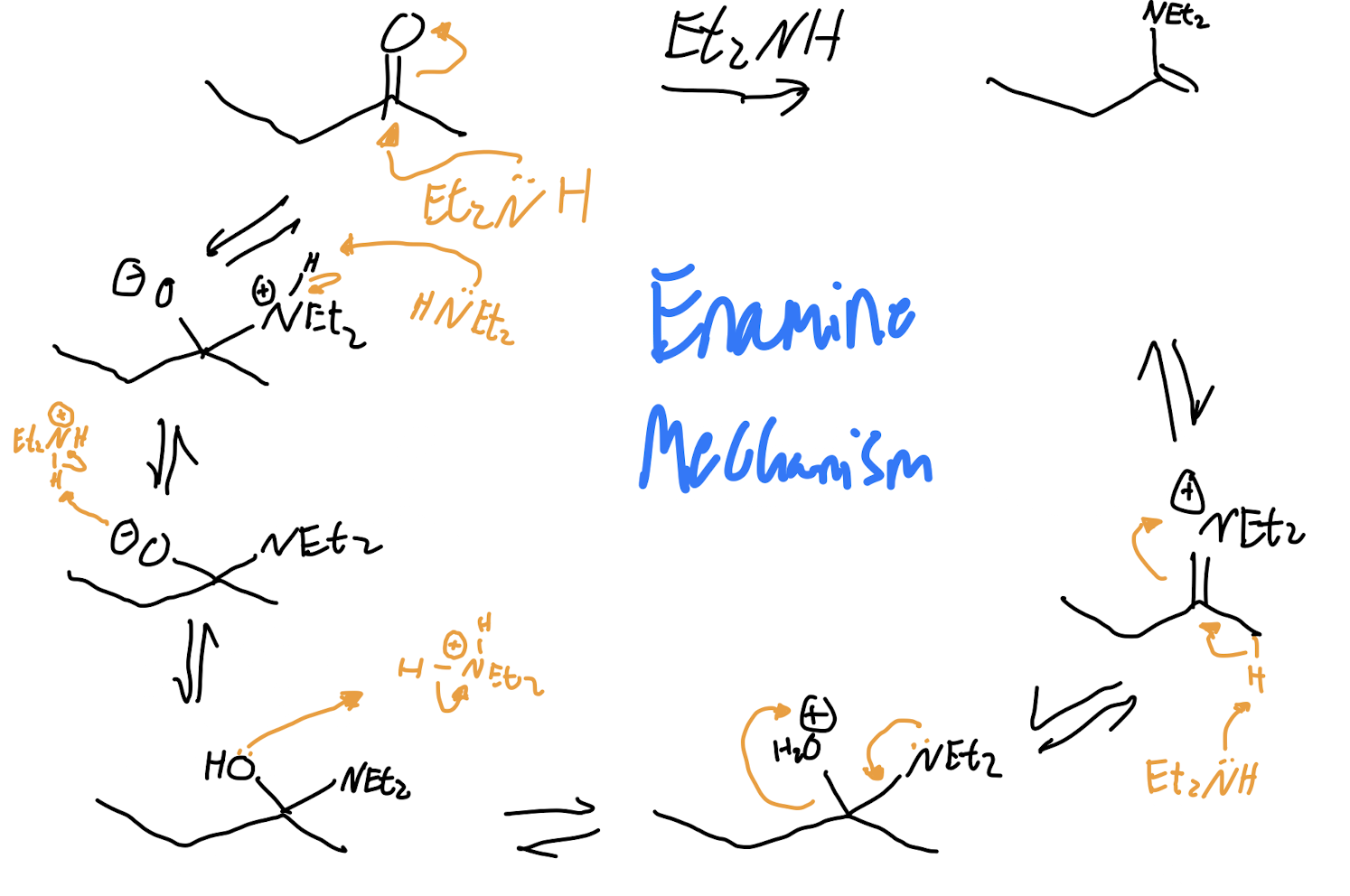 <p>Enamine Mechanism</p>