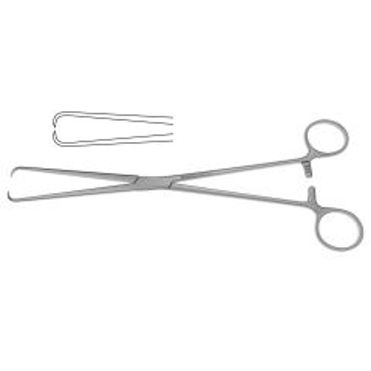 <p>Can be single or double toothed</p>