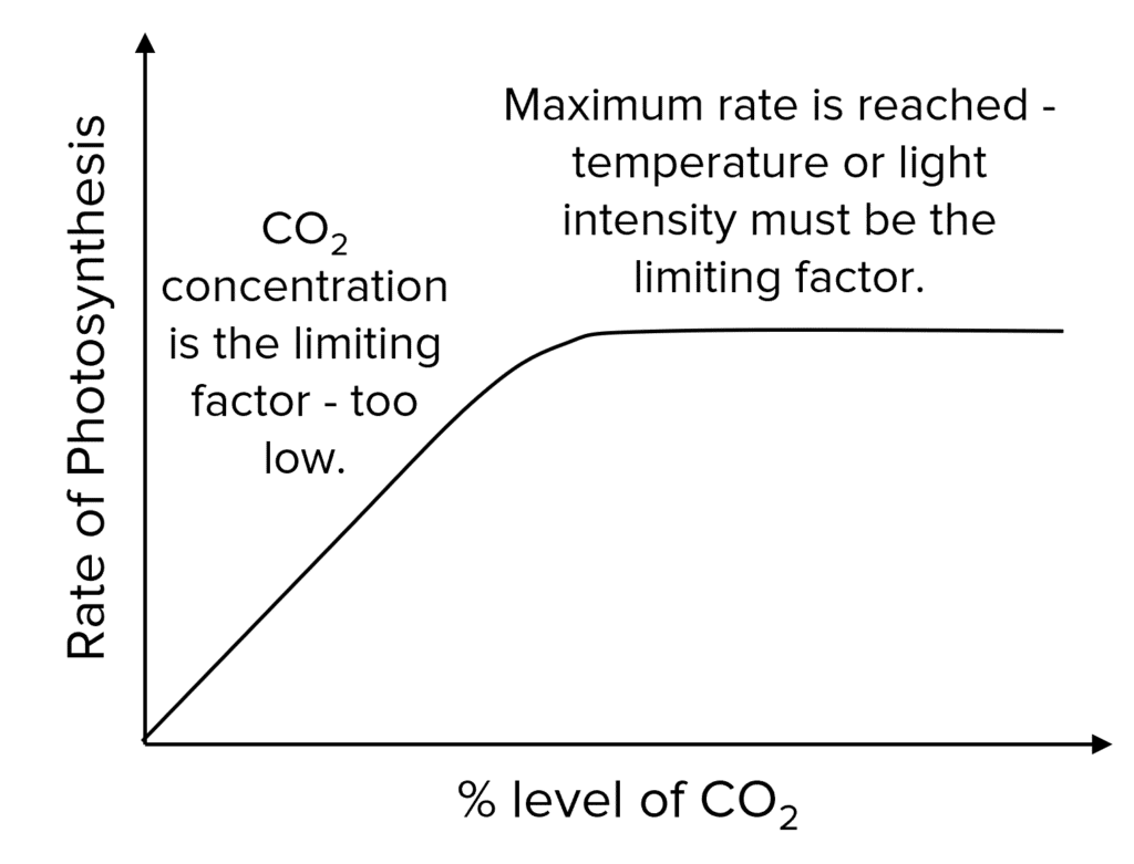 <p>how can the rate rate of photosynthesis be increased </p>