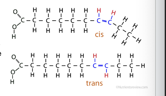 <p>in the cis form</p><ul><li><p>if the hydrogen bonded to each of the carbons in the double bond are on the <strong>same</strong> side = cis and leads to <strong>bent</strong> molecular chain</p></li><li><p>if 2 hydrogens are on <strong>opposite </strong>sides = trans and leads to <strong>straight</strong> chain</p></li></ul><p></p>