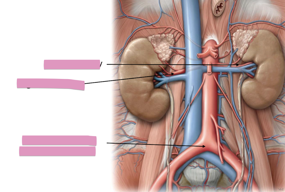 <p>Fill in the blank </p>