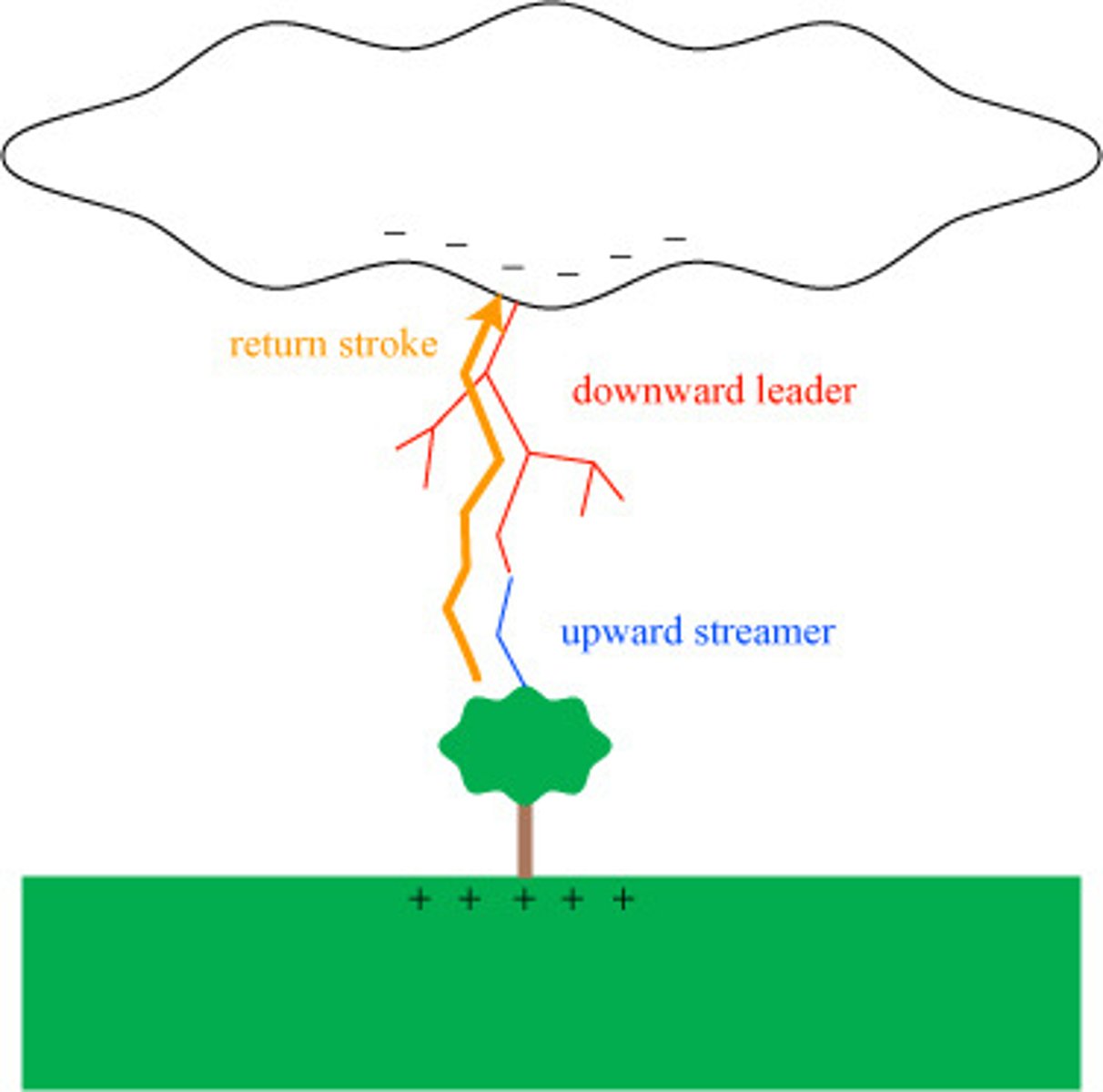 <p>The upward flow of current that we see as lightning</p><p>-This process happens quick. Around 1/10000 of a second</p>