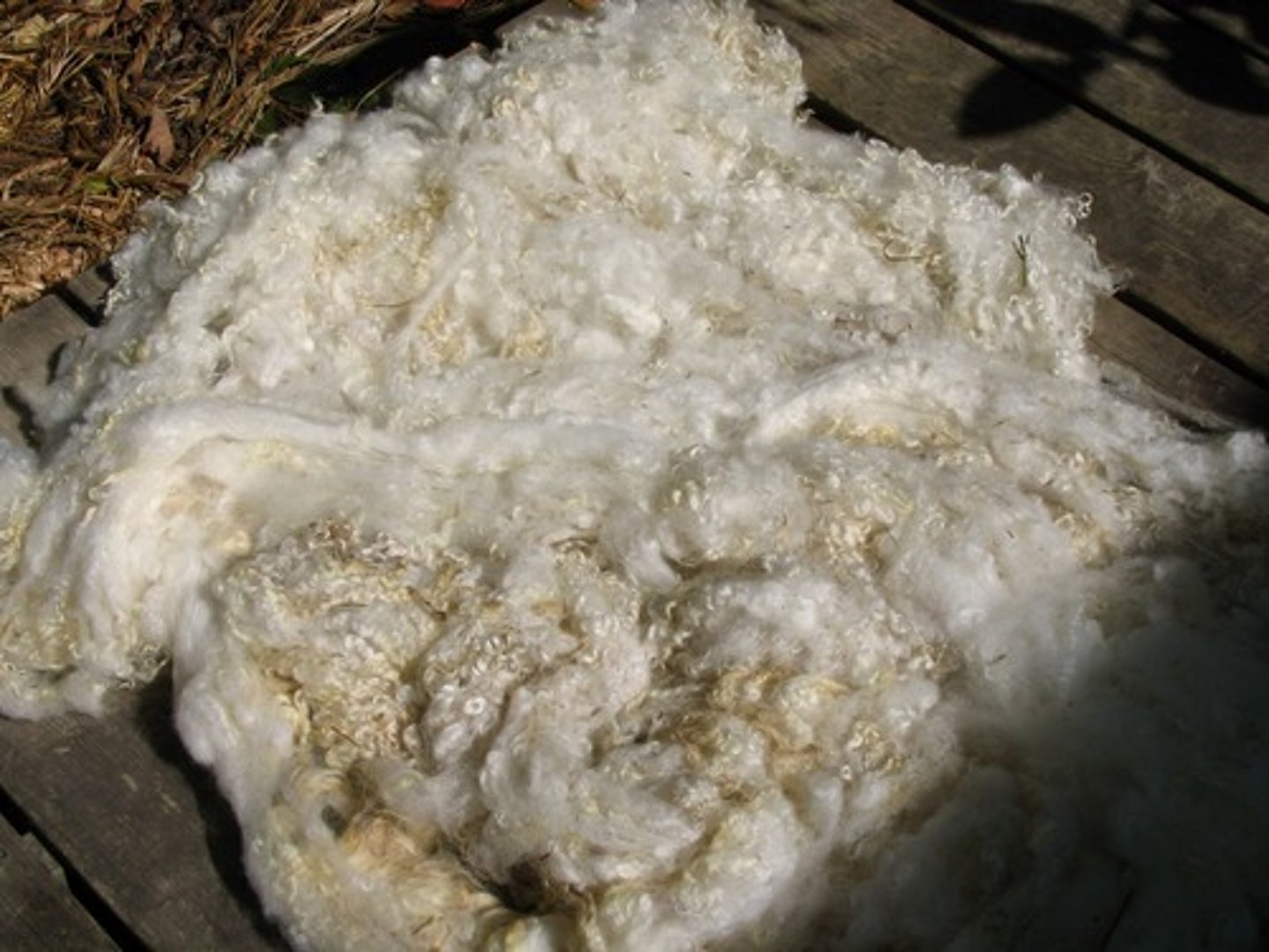 <p>wool produced from one sheep (1 year)</p>