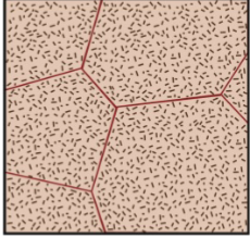 <p>of (Sn) within (Pb) grains, very fine little dots/rods → good strengthening</p>
