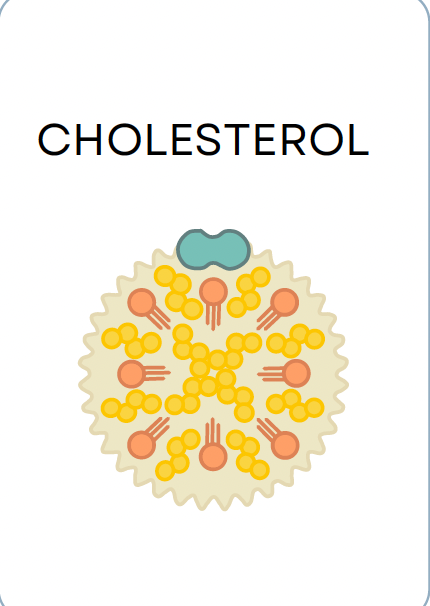 <p>CHOLESTEROL</p>