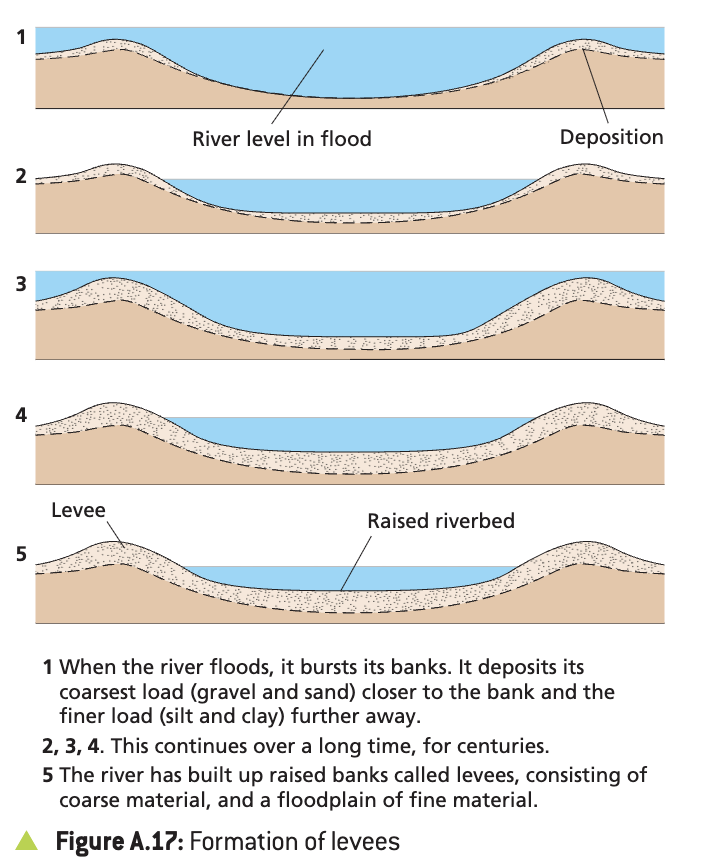 <p>formed by the deposition of coarse material near the channel, while the ﬁner deposits are carried out into the flood plain</p>