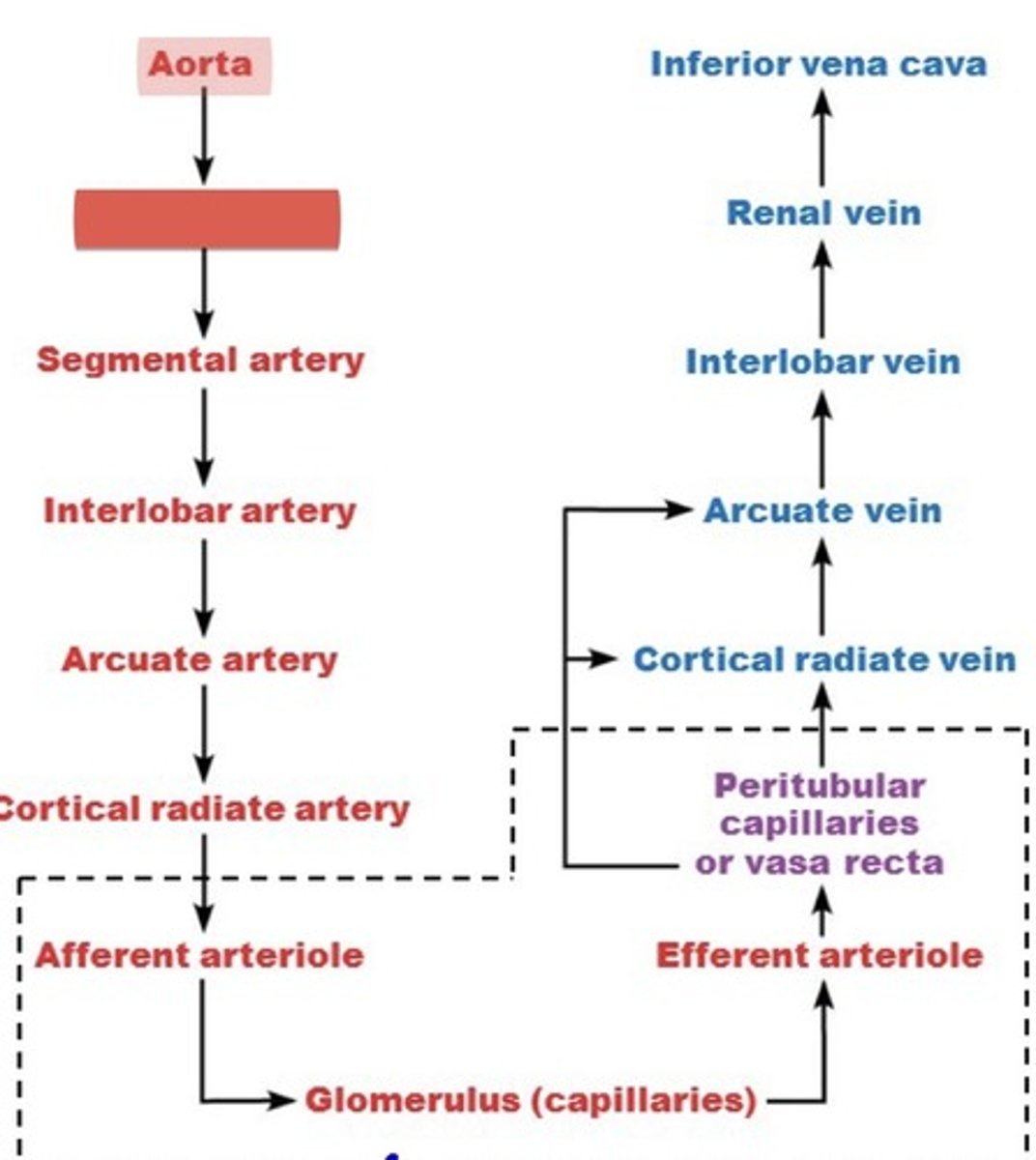 <p>What is this?</p>