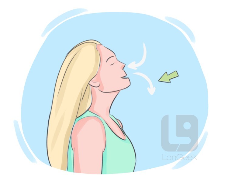 <p>Breath</p>