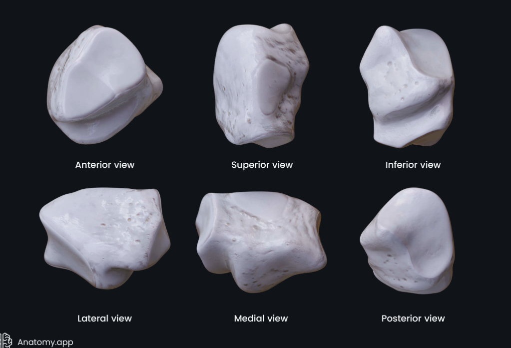 <p>What is this ?</p>