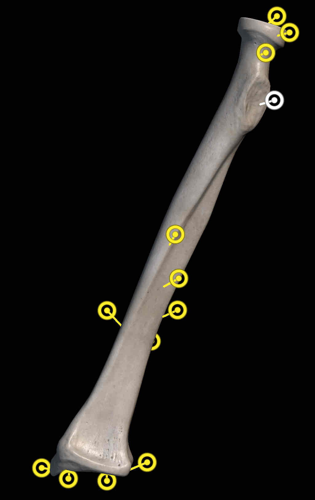 <p>Name the structure </p>