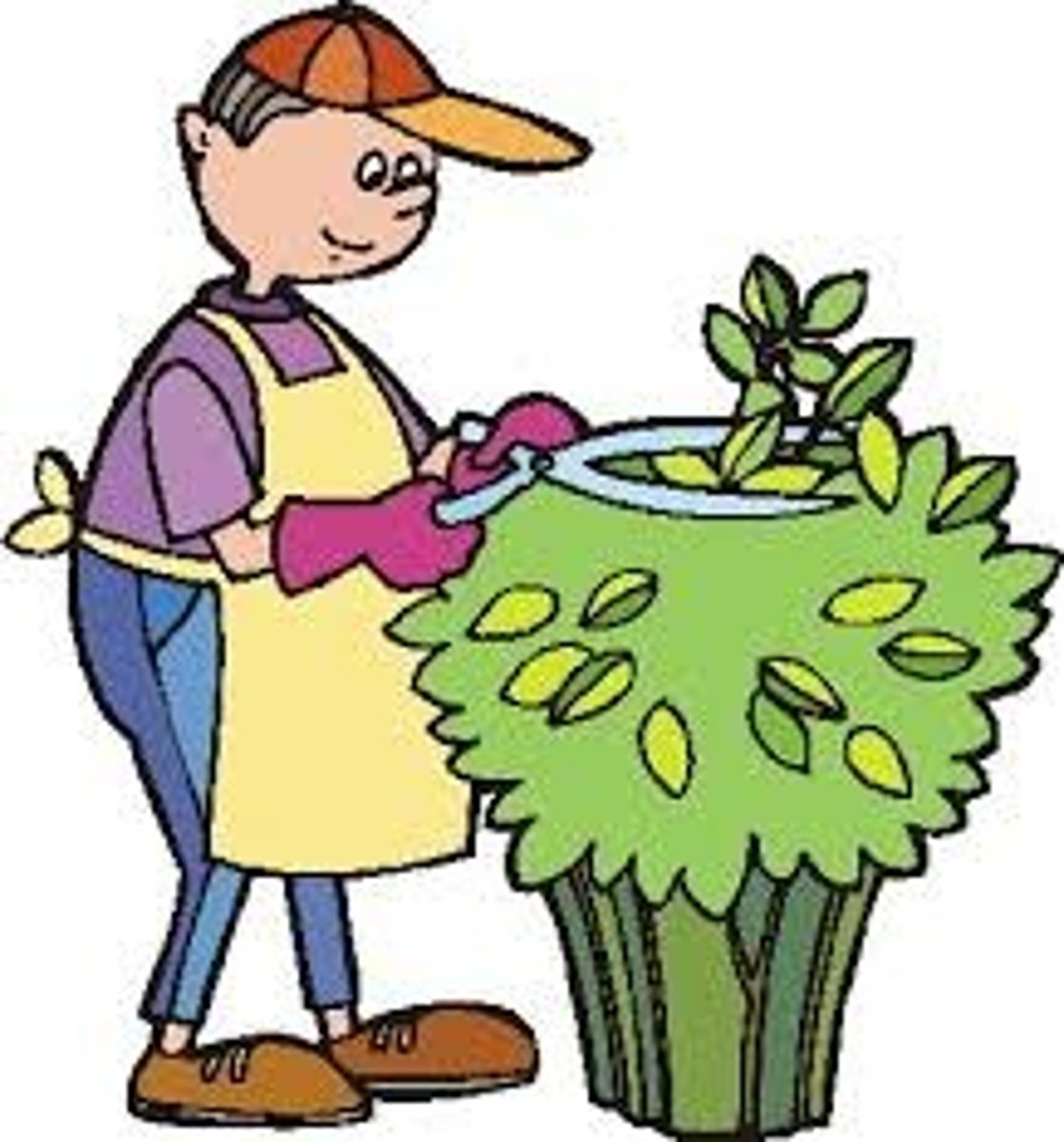 <p>gardener</p>
