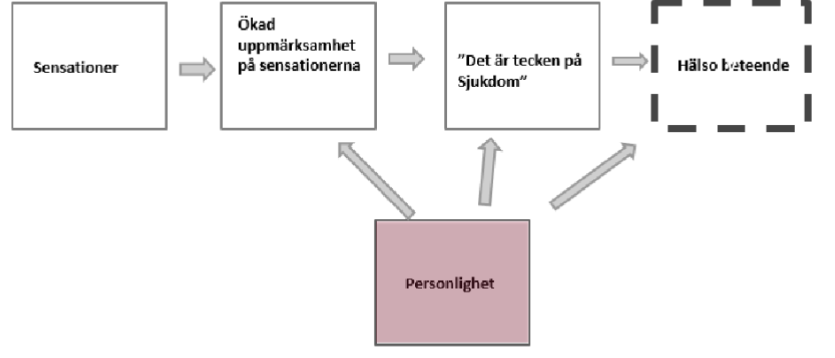 <p>Det handlar om hur man hanterar sjukdomen och inte själva sjukdomen </p><p>Ex om man tar den rekomenderade medicinen, om man söker vård. </p><p>Syns att det finns individuella skillnader, vissa ignorerar mendan andra visar många sjukdomsbeteenden utan att ha någon somatisk sjukdom. </p>