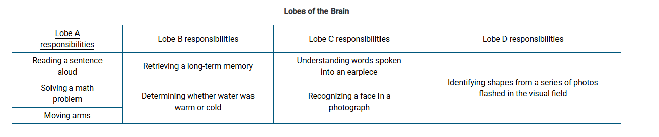 <p><span>Researchers asked subjects to complete various activities and documented the lobe of the cerebral cortex activated for each one. The results are stated in the table.</span></p><p><span>Which of the following is the lobe most likely represented by the activity in “Lobe C”?</span></p>