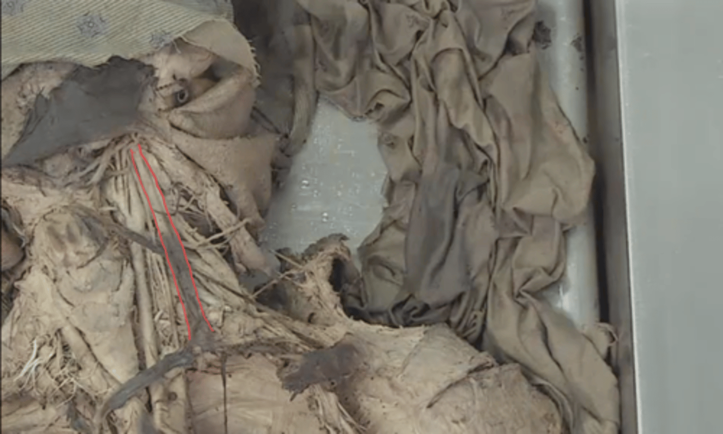 <p>identify this structure</p>