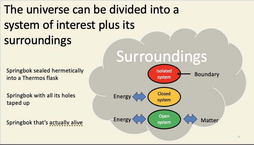 <ul><li><p>you define what the system is</p></li></ul><p>System kinds:</p><ul><li><p>isolated system - exchanges neither matter nor energy with the surroundings (easier to model)</p></li><li><p>closed system - energy is exchanged with its surroundings</p></li><li><p>open system - can exchange matter and energy with its surroundings (mathematically difficult to analyse)</p></li></ul><p></p>