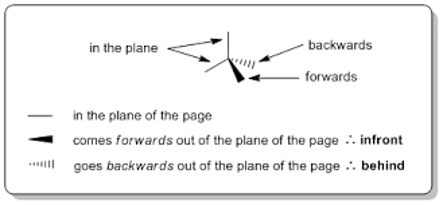 <p>image</p>