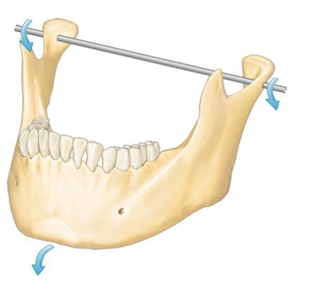 <p>Axis of rotation</p>