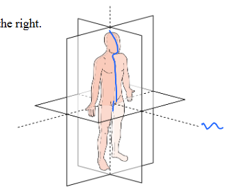 <p>What is this body plane?</p>