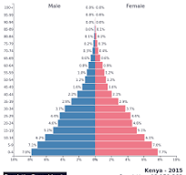 <ul><li><p>young people </p><p>expansive</p></li><li><p>high birth rate and high death rate</p></li><li><p>ex:Mali, Somalia, and the world</p></li></ul><p></p>