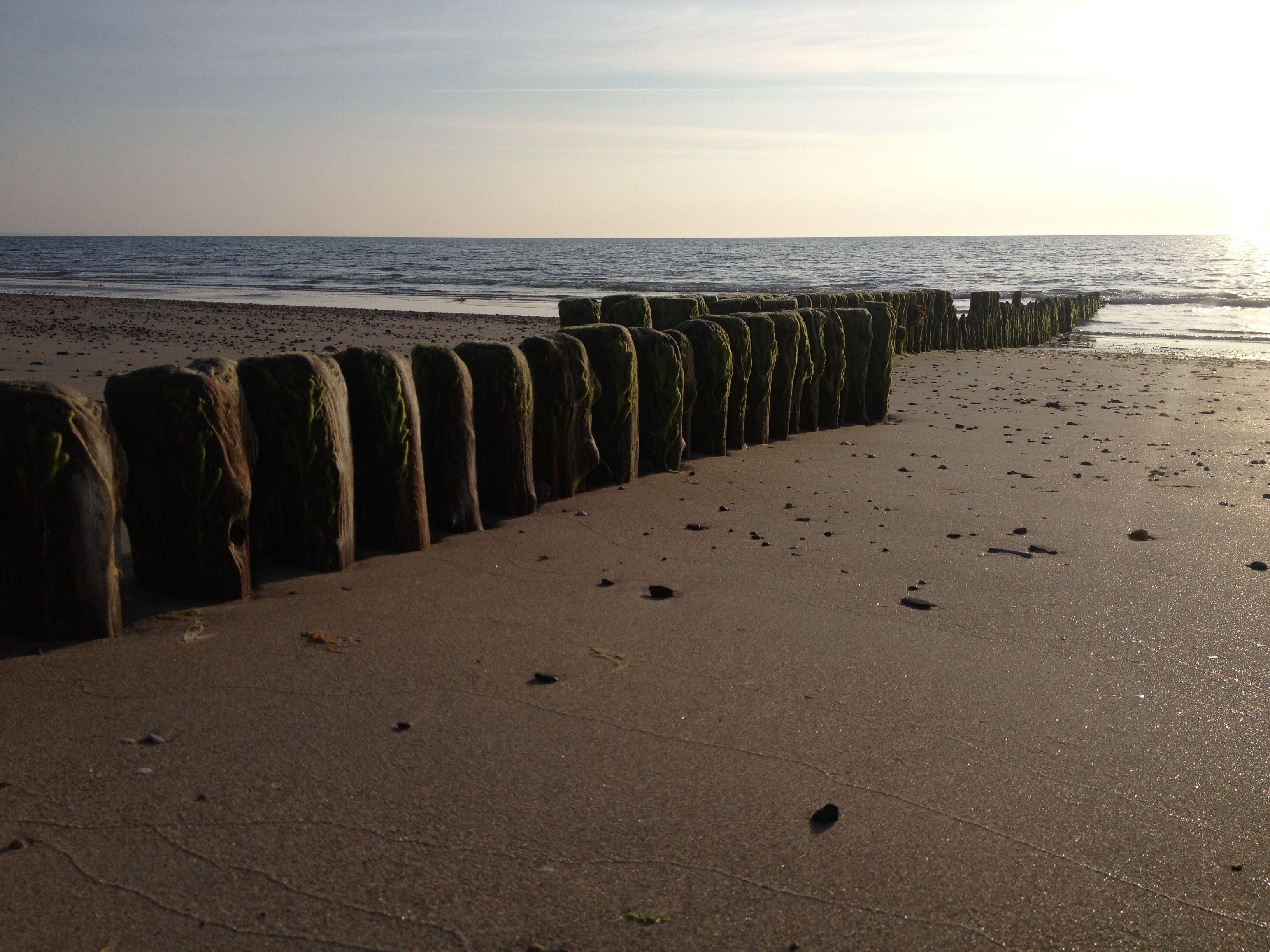 <p>concrete or wooden structures built at right angles to the coastline</p>