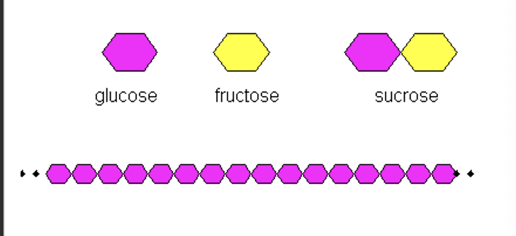 <p>Polysaccharides, monosaccharides, disaccharides</p>