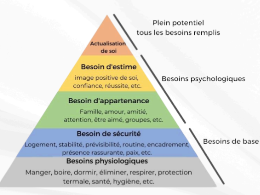 <ul><li><p><strong>Besoins physiologiques</strong> : assurent l’équilibre homéostatique et la santé</p><p>physique.</p><p>Se nourrir, boire, dormir, respirer, ...</p></li><li><p><strong>Besoin de sécurité/protection</strong> : Recherche de sécurité financière,</p><p>désir de se tenir à l’abri de menaces physiques / psychologiques,</p><p>tendance à préférer ce qui est connu / familier, donc rassurant.</p></li><li><p><strong>Besoins relationnels</strong> : Sentiment d’appartenance, besoin d’affiliation, d’amour, d’amitié, de communication et d’expression de</p><p>soi.</p></li><li><p><strong>Besoin d’estime</strong> : Respect de soi et des autres, sentiment de pouvoir réussir, d’être utile et d’avoir de la valeur à ses propres yeux et aux yeux d’autrui.</p></li><li><p><strong>Besoin d’actualisation</strong> : associé à des expériences telles que la créativité, l’engagement, le déploiement des talents, la résolution de problèmes et le désir de se réaliser à travers une mission ou une œuvre quelconque. Se manifeste chez les personnes dont les besoins aux niveaux inférieurs ont été satisfaits de façon suffisamment stable pour être perçus comme comblés la plupart du temps.</p></li></ul><p></p>