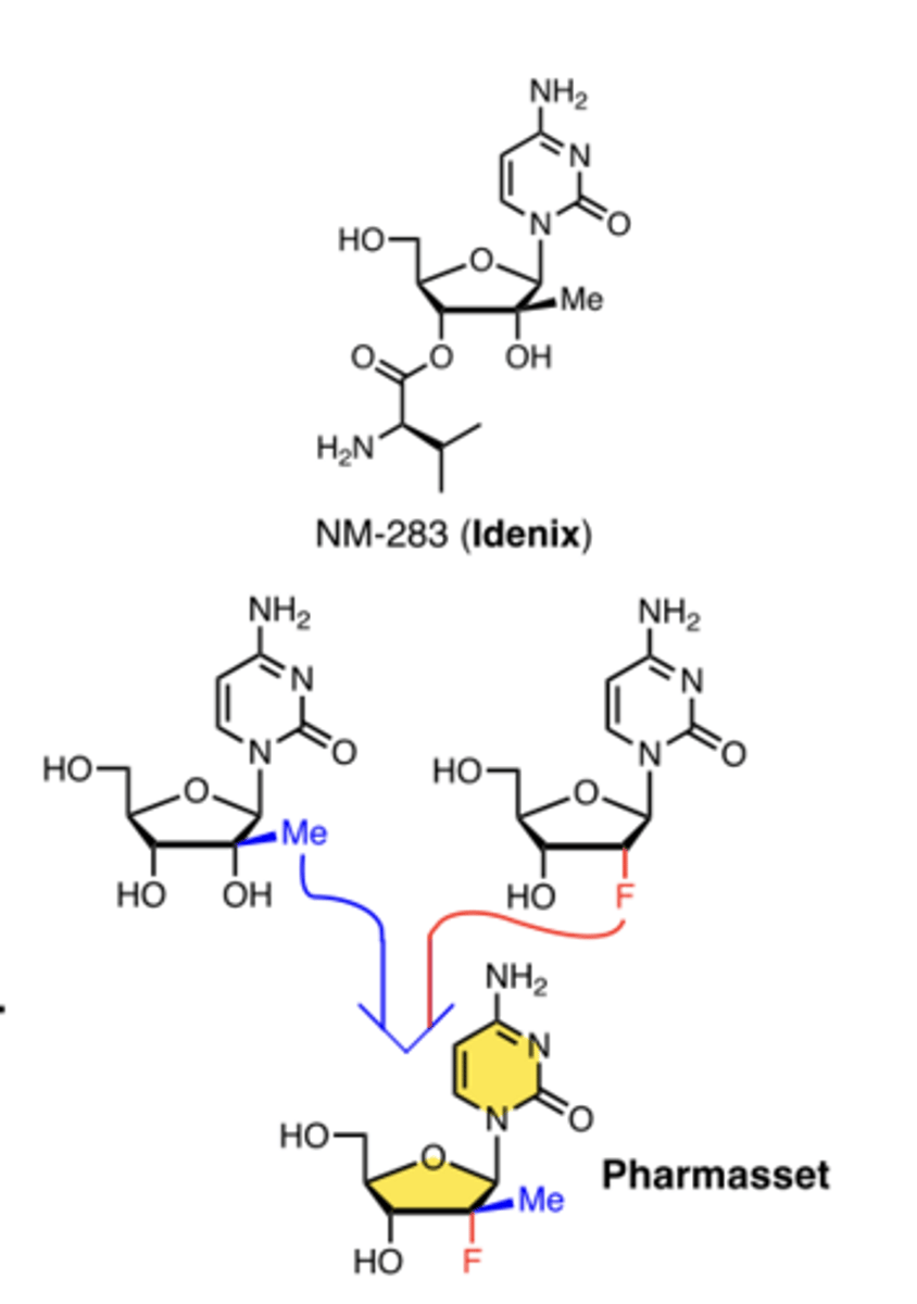 <p>2′-methyl + 2′-fluoro modifications</p>
