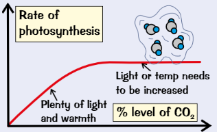 <ul><li><p>One of the <strong>raw materials </strong>needed for PSN</p></li><li><p>Increase <strong>CO₂ conc. </strong>= <strong>increased </strong>rate of PSN up to a point, then graph <strong>flattens </strong>out, as CO₂ is no longer limiting factor</p></li></ul>