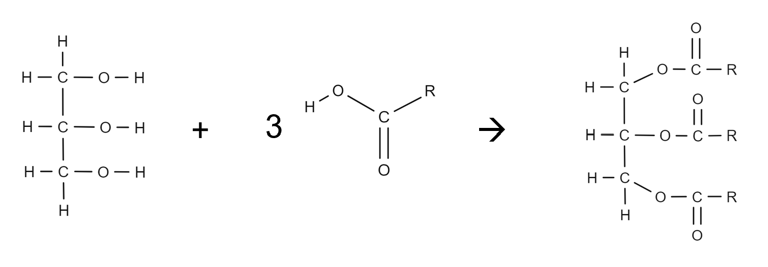 <p>3H2O is the product</p>