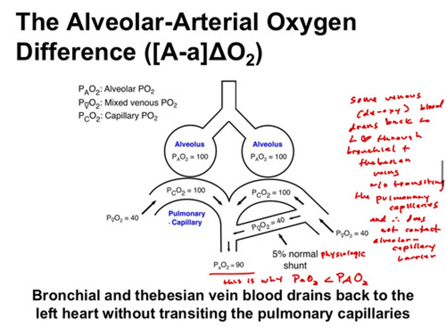 <p>PaO2 is arterial PO2 and PAO2 is alveolar PO2; arterial PO2 is always less than the alveolar PO2 in healthy individuals and this normal alveolar-arterial oxygen difference is due to the blood from the bronchial and thebesian veins that drain directly back to the left side of the heart without going through a gas exchanging region of the lung</p>