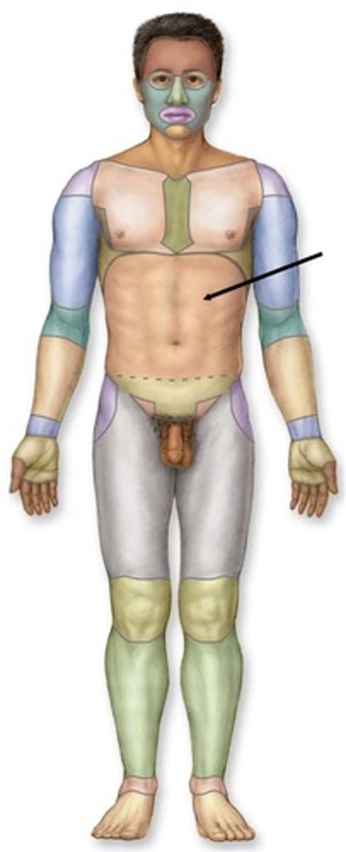 knowt flashcard image