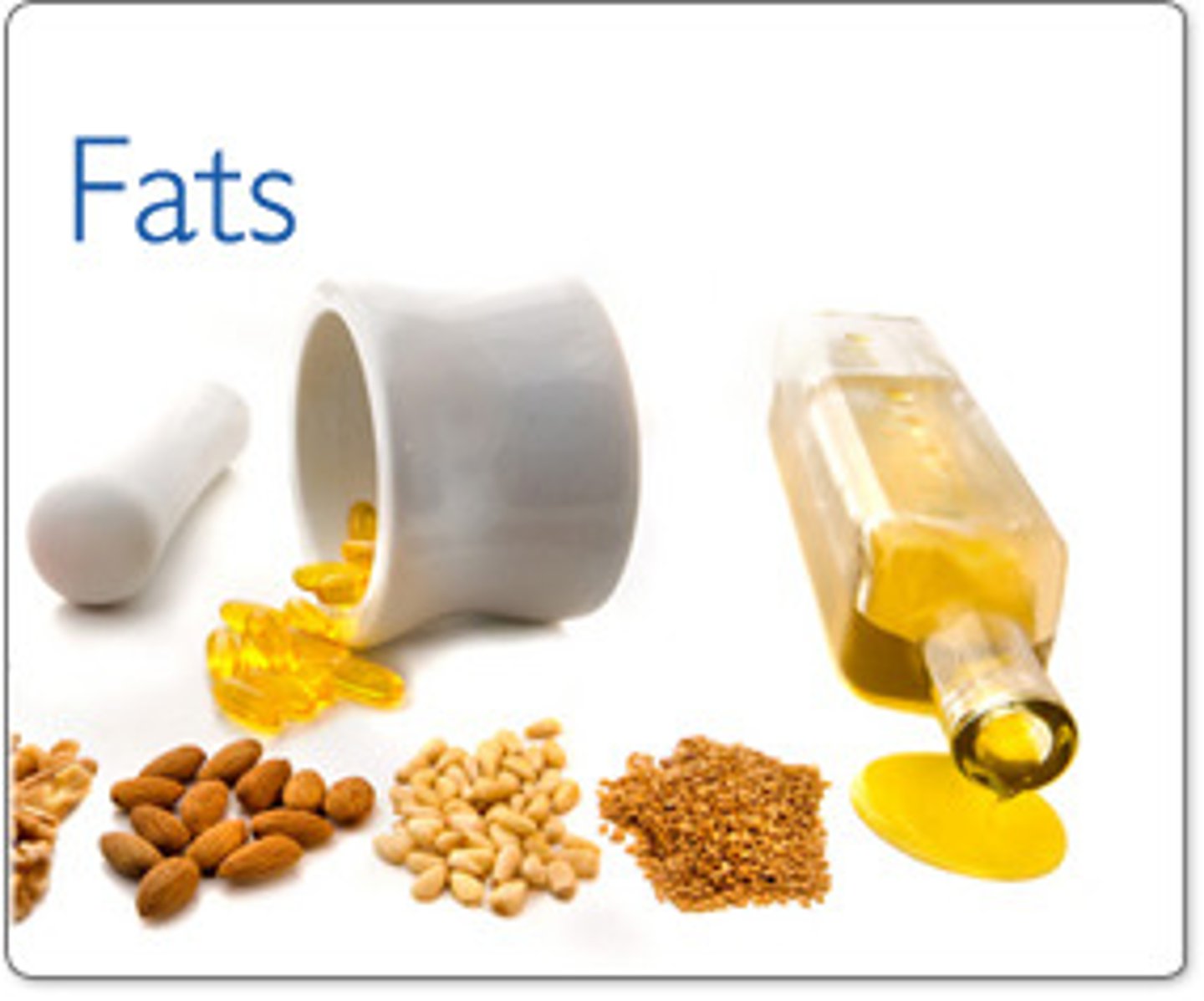 <p>the fat</p>