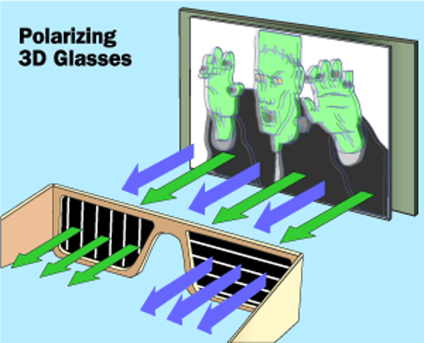 <p>One lens of 3D glasses filters out all light but that in the horizontal direction while the other lens only lets in vertically polarized light. The movie producers make two images, one horizontally polarized and the other vertically polarized, which when combined together in your brain create a vertical image. This can also be done using oppositely circular polarized light.</p>