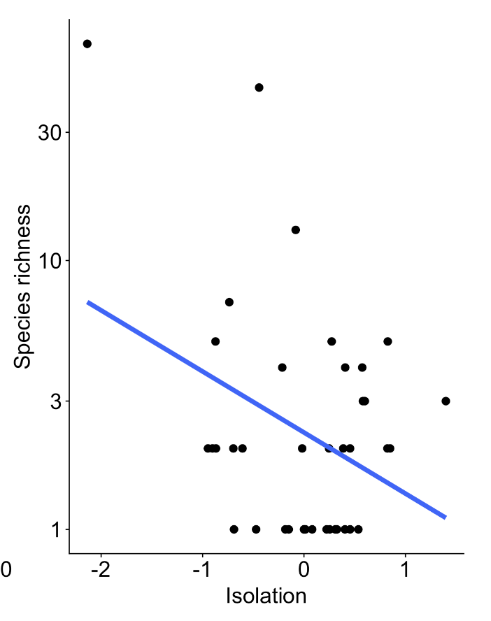 <p>Species richness decreases with isolation. </p>