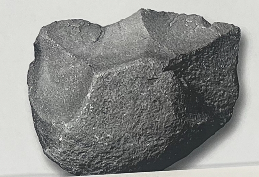<p>What is this tool technology called? Which taxon(s) used this type of tool technology?</p>