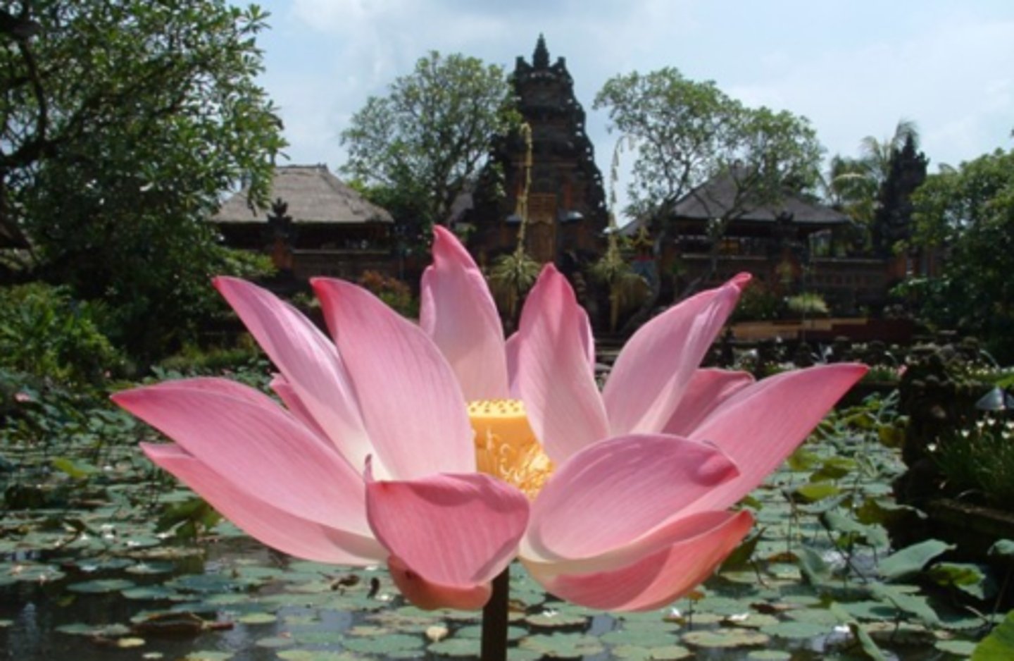 <p>(adv) hoàn toàn</p>