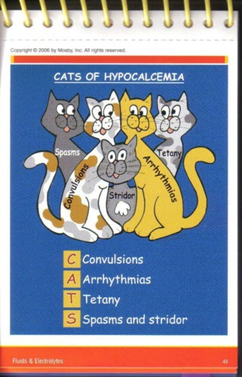 <p>Muscle spasms, tetany, seizures, and positive Chvostek and Trousseau signs.</p>