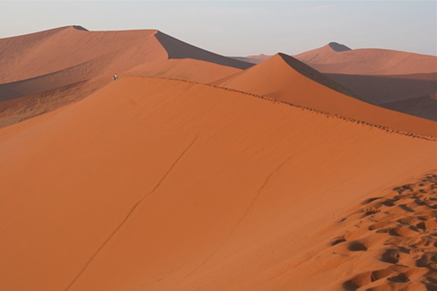 <p>Een erg droog gebied waar bijna niets groeit.</p>