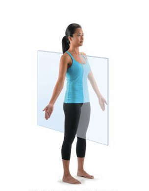 <p>Midsgaital (median) plane </p>