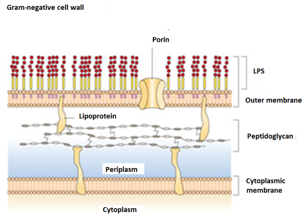 <p>Can you label, describe and explain what this diagram is/shows?</p>