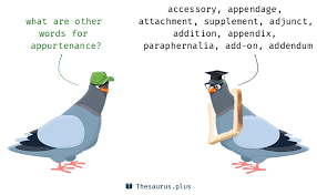 <p>(noun)</p><p>An accessory associated with a particular style of living</p><p>Word Associations: Accessory and Stuff</p>