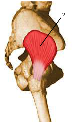 <p>Nom et caractéristiques de cette structure ?</p>