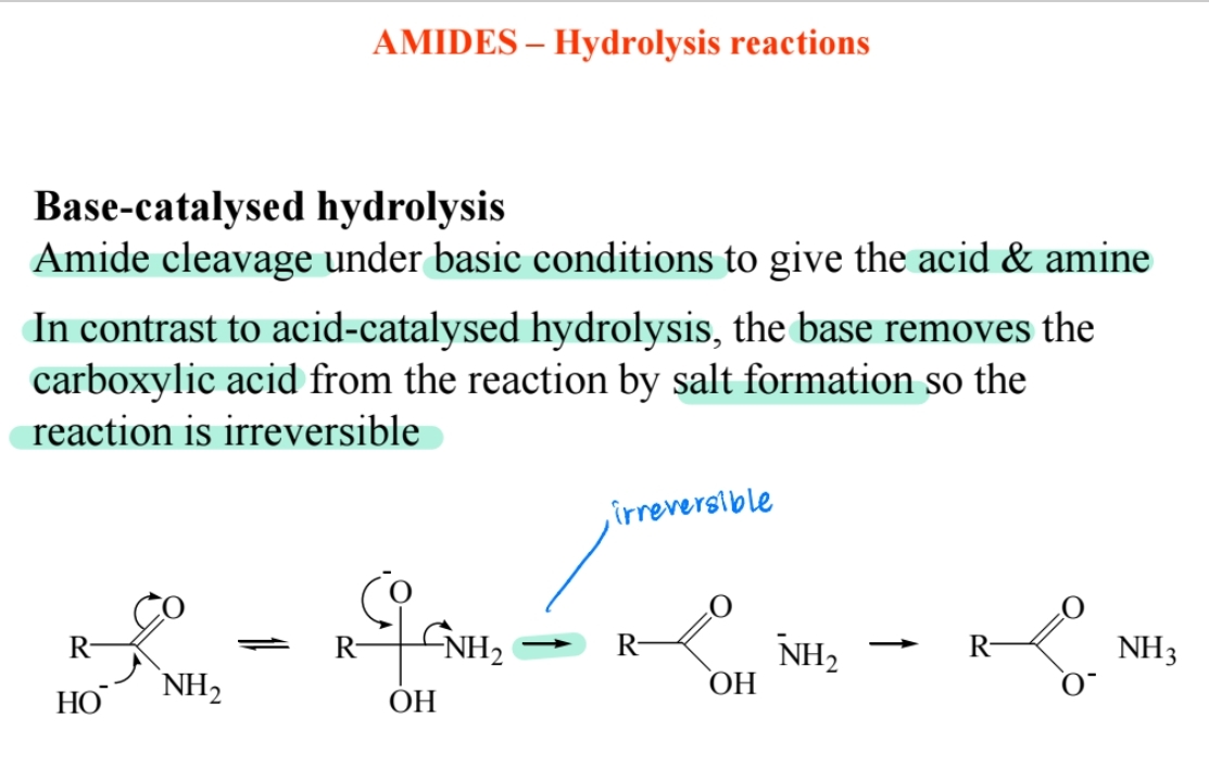 <p><span>Produces carboxylate salt and amine; irreversible.</span></p>