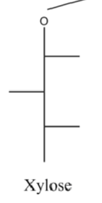 <p>pent- aldose</p><p>R, L, R</p>