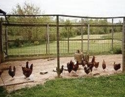 <p>Which type of management system involves a combination of scavenging and formulated food, birds have access to shelter and a fenced run, and stocking density is moderate?</p>