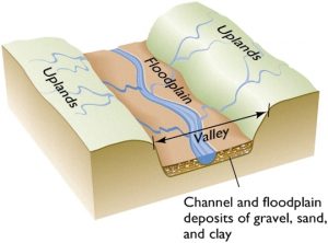 <p>floodplain</p>