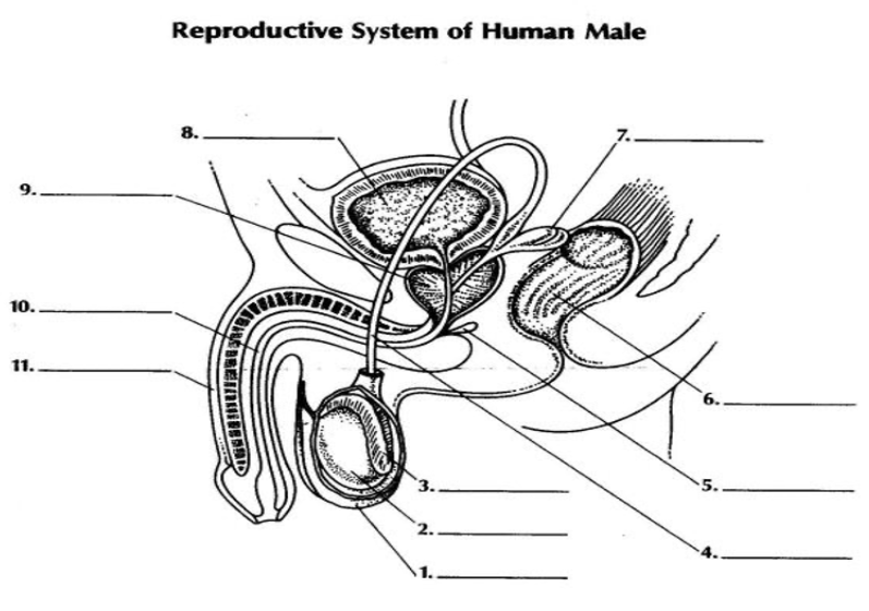 <p>What is 2?</p>