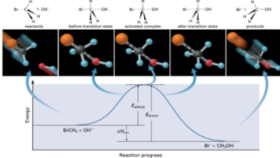 <p>Analyze this diagram of the reaction:&nbsp;𝐵𝑟𝐶𝐻3 + 𝑂𝐻− → 𝐶𝐻3𝑂𝐻 + 𝐵𝑟−<br>Describe where the transition state is on the diagram, what is the activated complex?</p>