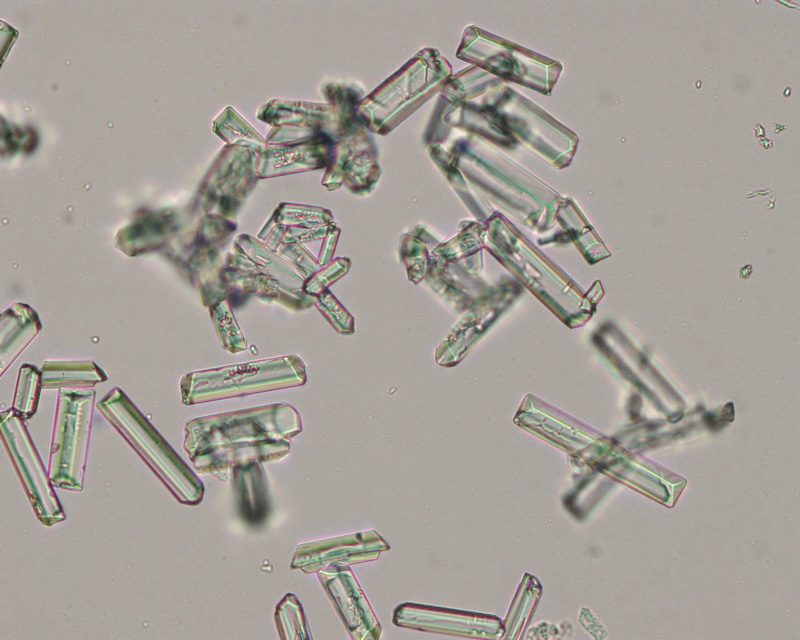 <p>Which crystal is in this image and commonly described as having a coffin lid appearance?</p>
