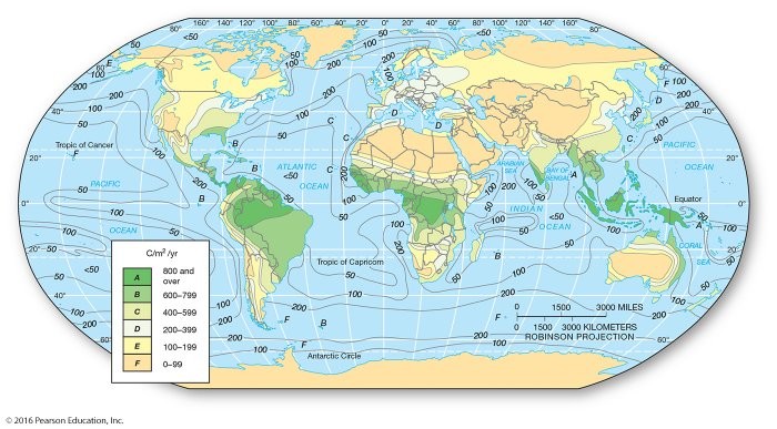 <p><span>In which of the following areas would one tend to find the highest net primary productivity?</span></p>